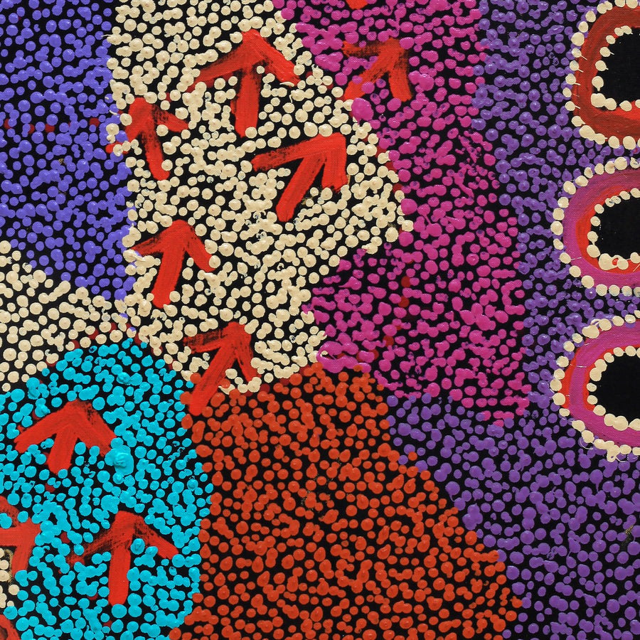 Aboriginal Artwork by Vina Nangala Gallagher, Yankirri Jukurrpa (Emu Dreaming), 76x46cm