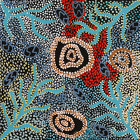 Aboriginal Art by Margaret Napangardi Lewis, Mina Mina Dreaming, 61x61cm - ART ARK®