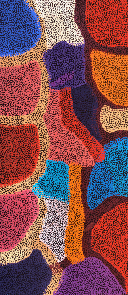 Aboriginal Artwork by Margaret Nangala Gallagher, Yankirri Jukurrpa (Emu Dreaming), 107x46cm