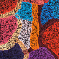 Aboriginal Artwork by Margaret Nangala Gallagher, Yankirri Jukurrpa (Emu Dreaming), 107x46cm