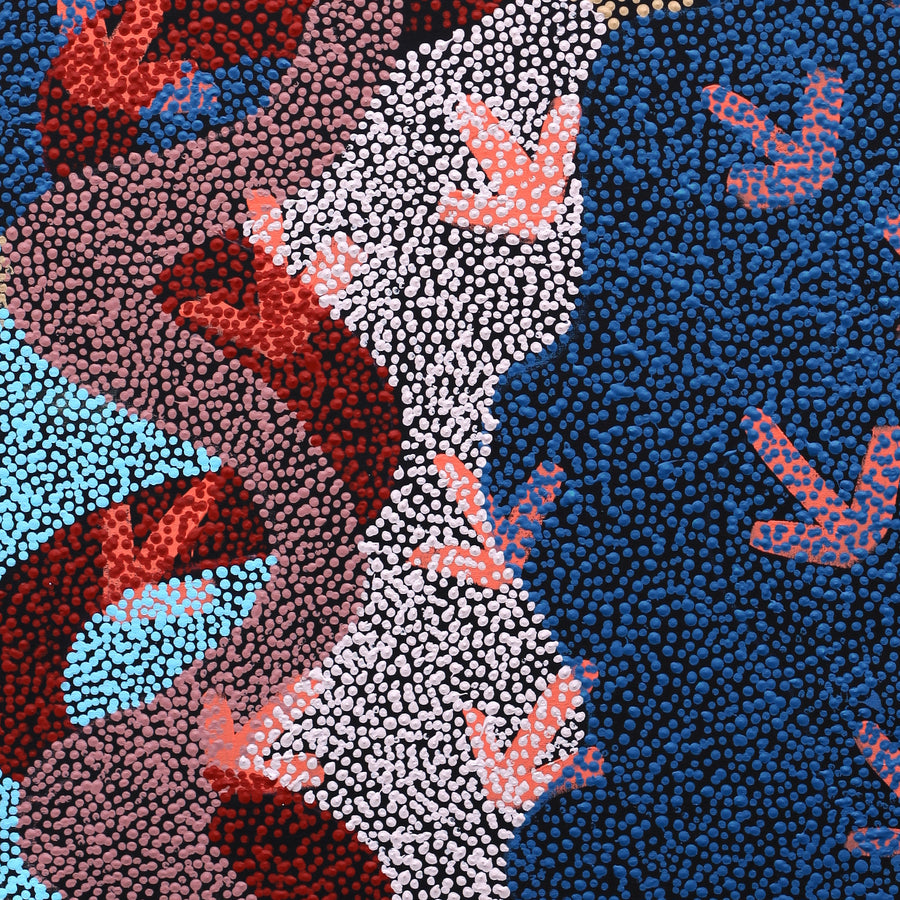 Aboriginal Artwork by Margaret Nangala Gallagher, Yankirri Jukurrpa (Emu Dreaming), 107x61cm