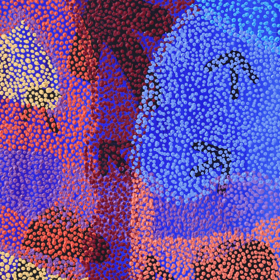 Aboriginal Artwork by Margaret Nangala Gallagher, Yankirri Jukurrpa (Emu Dreaming), 122x46cm