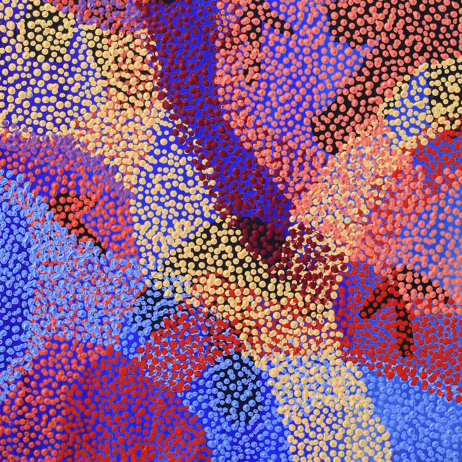 Aboriginal Artwork by Margaret Nangala Gallagher, Yankirri Jukurrpa (Emu Dreaming), 122x46cm