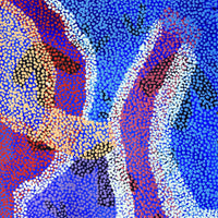 Aboriginal Artwork by Margaret Nangala Gallagher, Yankirri Jukurrpa (Emu Dreaming), 122x46cm