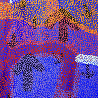 Aboriginal Artwork by Margaret Nangala Gallagher, Yankirri Jukurrpa (Emu Dreaming), 122x46cm