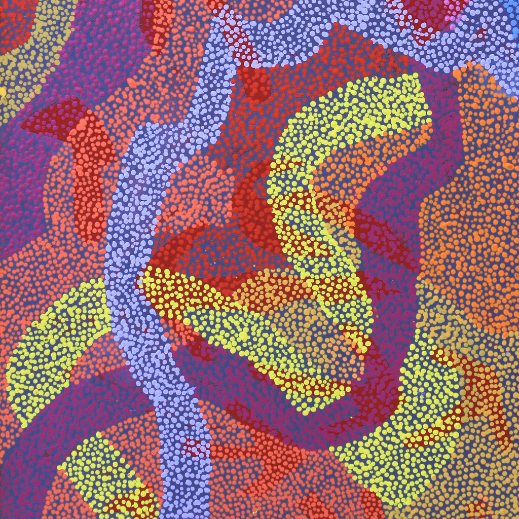Aboriginal Artwork by Margaret Nangala Gallagher, Yankirri Jukurrpa (Emu Dreaming), 152x61cm