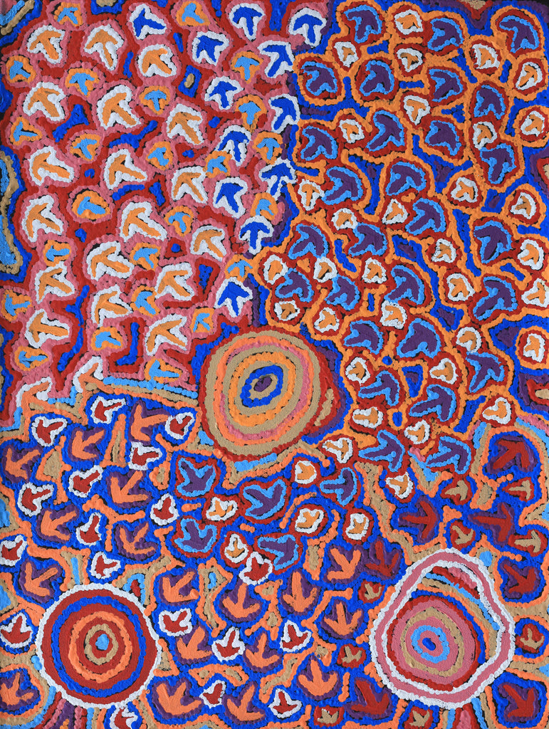 Aboriginal Artwork by Margaret Nangala Gallagher, Yankirri Jukurrpa, 61x46cm - ART ARK®
