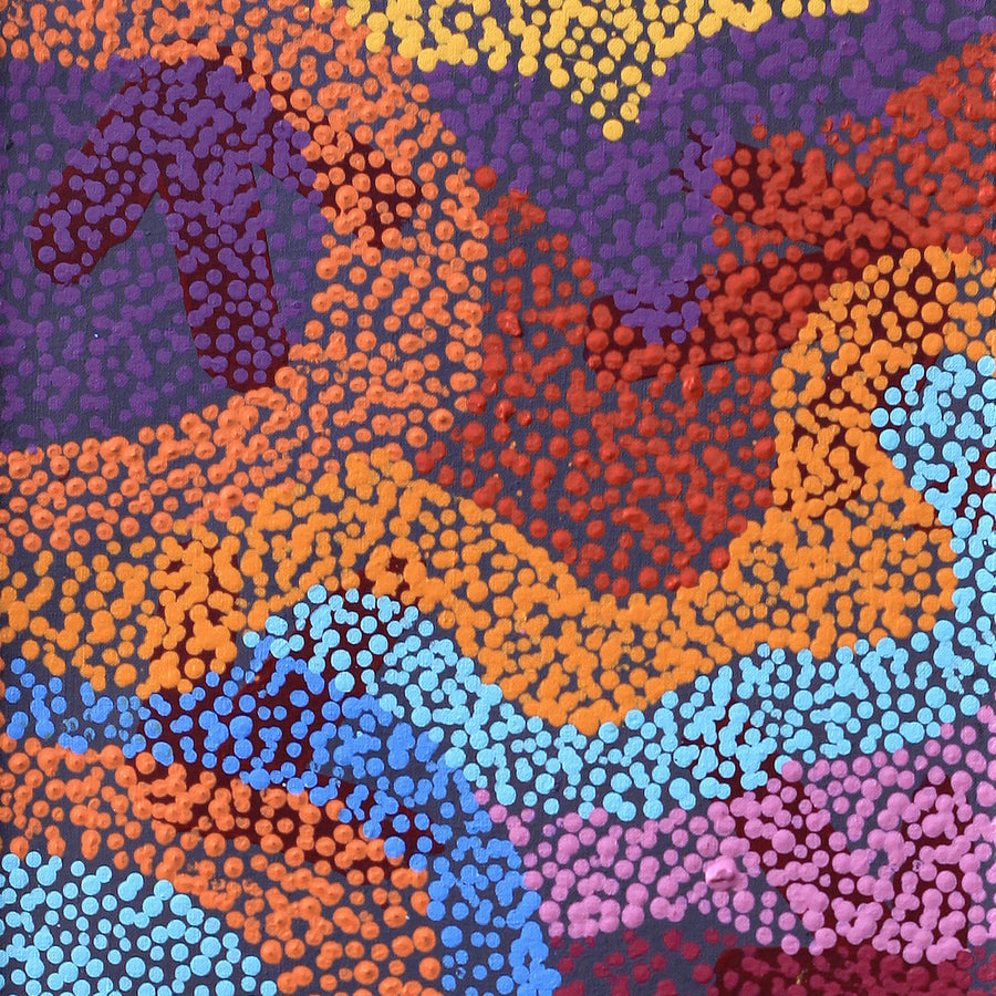 Aboriginal Artwork by Margaret Nangala Gallagher, Yankirri Jukurrpa (Emu Dreaming), 91x30cm