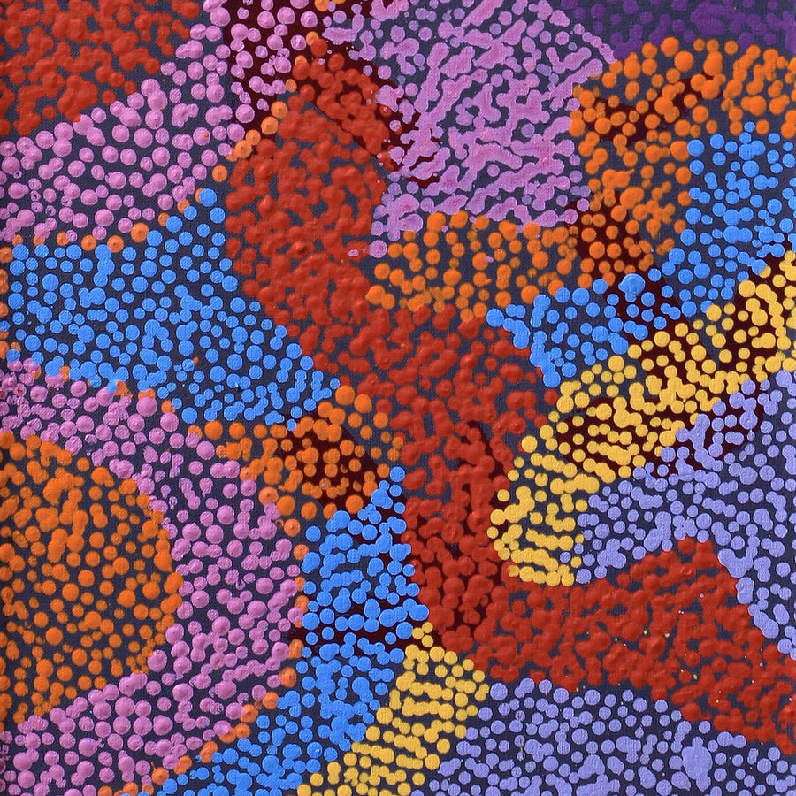 Aboriginal Artwork by Margaret Nangala Gallagher, Yankirri Jukurrpa (Emu Dreaming), 91x30cm