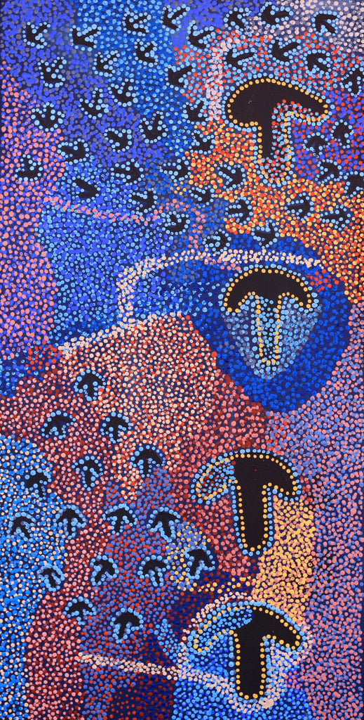 Aboriginal Artwork by Margaret Nangala Gallagher, Yankirri Jukurrpa (Emu Dreaming), 91x46cm