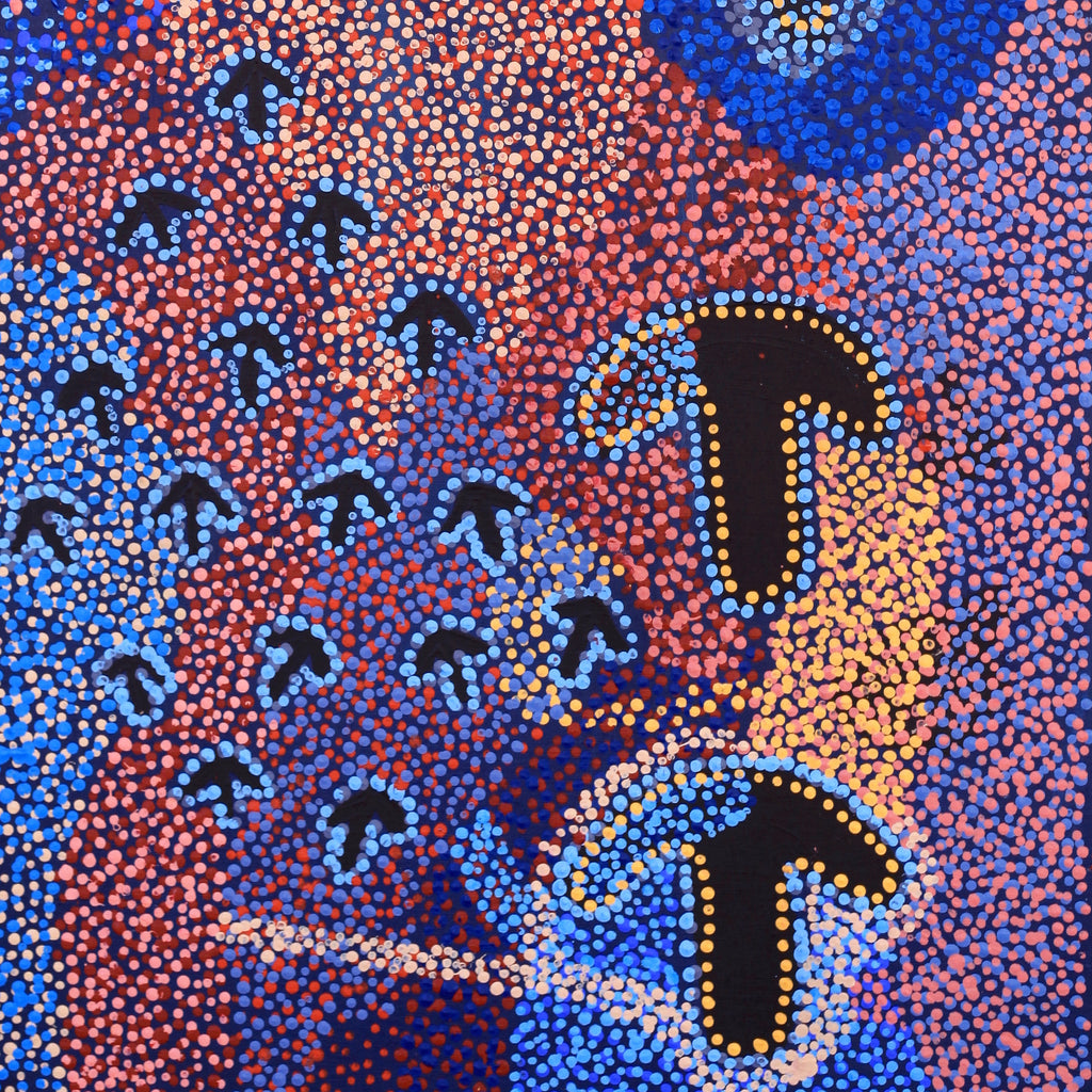 Aboriginal Artwork by Margaret Nangala Gallagher, Yankirri Jukurrpa (Emu Dreaming), 91x46cm