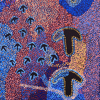 Aboriginal Artwork by Margaret Nangala Gallagher, Yankirri Jukurrpa (Emu Dreaming), 91x46cm