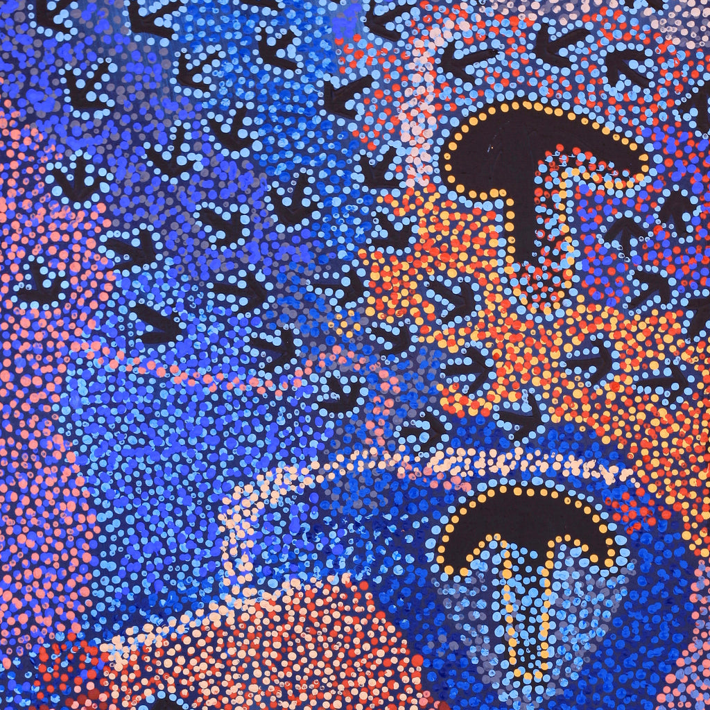 Aboriginal Artwork by Margaret Nangala Gallagher, Yankirri Jukurrpa (Emu Dreaming), 91x46cm