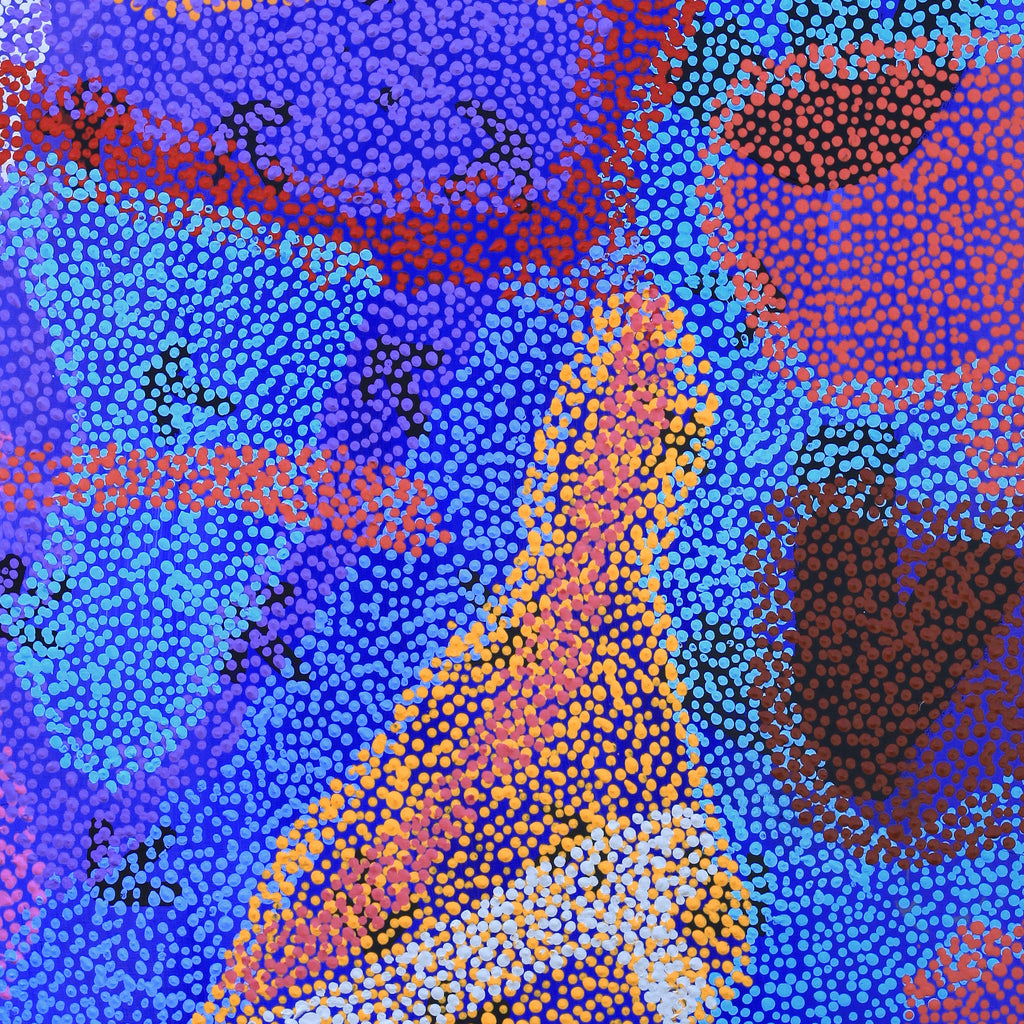 Aboriginal Artwork by Margaret Nangala Gallagher, Yankirri Jukurrpa (Emu Dreaming), 91x76cm