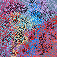 Aboriginal Artwork by Margaret Nangala Gallagher, Yankirri Jukurrpa (Emu Dreaming), 30x30cm