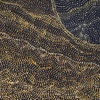 Aboriginal Artwork by Margaret Napangardi Lewis, Mina Mina Dreaming - Ngalyipi, 61x30cm