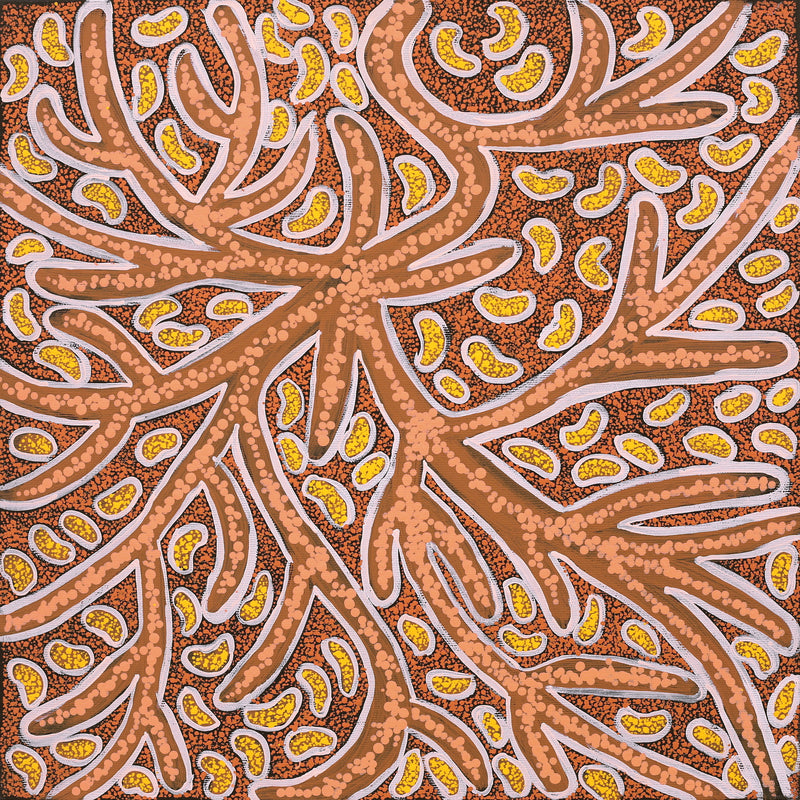 Aboriginal Artwork by Margarina Napanangka Miller, Lukarrara Jukurrpa, 40x40cm