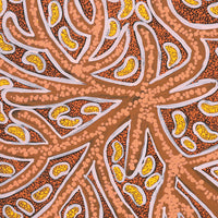 Aboriginal Artwork by Margarina Napanangka Miller, Lukarrara Jukurrpa, 40x40cm
