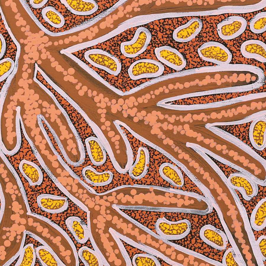 Aboriginal Artwork by Margarina Napanangka Miller, Lukarrara Jukurrpa, 40x40cm