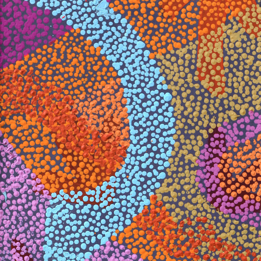 Aboriginal Artwork by Margaret Nangala Gallagher, Yankirri Jukurrpa (Emu Dreaming), 91x30cm
