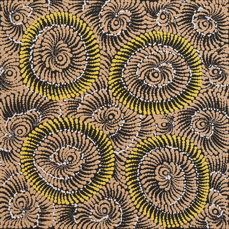 Aboriginal Artwork by Maria Nampijinpa Brown, Pamapardu Jukurrpa (Flying Ant Dreaming) - Warntungurru, 40x40cm