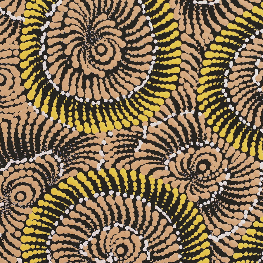 Aboriginal Artwork by Maria Nampijinpa Brown, Pamapardu Jukurrpa (Flying Ant Dreaming) - Warntungurru, 40x40cm
