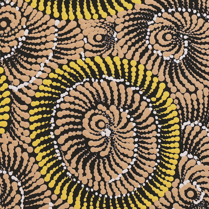 Aboriginal Artwork by Maria Nampijinpa Brown, Pamapardu Jukurrpa (Flying Ant Dreaming) - Warntungurru, 40x40cm