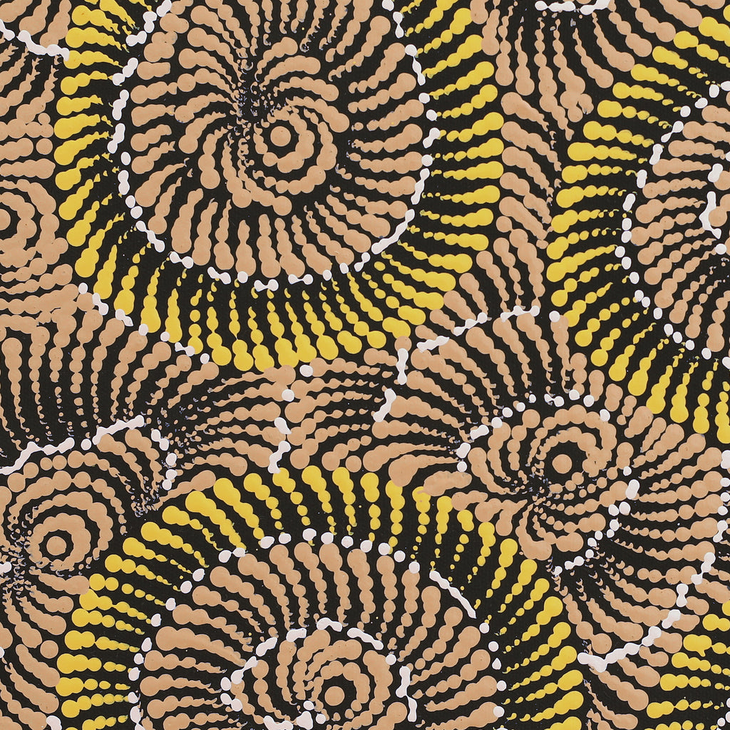 Aboriginal Artwork by Maria Nampijinpa Brown, Pamapardu Jukurrpa (Flying Ant Dreaming) - Warntungurru, 40x40cm - ART ARK®