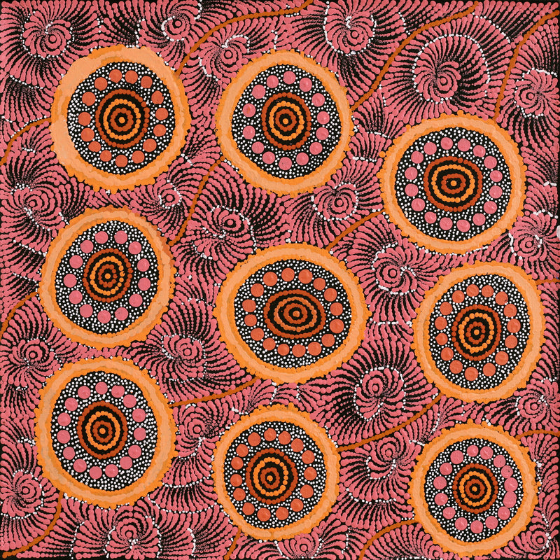 Aboriginal Artwork by Maria Nampijinpa Brown, Pamapardu Jukurrpa (Flying Ant Dreaming) - Warntungurru, 61x61cm