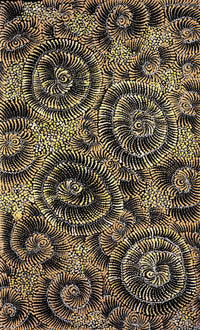 Aboriginal Artwork by Maria Nampijinpa Brown, Pamapardu Jukurrpa (Flying Ant Dreaming) - Warntungurru, 76x46cm