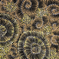 Aboriginal Artwork by Maria Nampijinpa Brown, Pamapardu Jukurrpa (Flying Ant Dreaming) - Warntungurru, 76x46cm