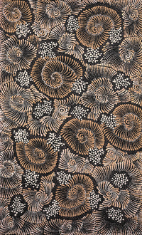 Aboriginal Artwork by Maria Nampijinpa Brown, Pamapardu Jukurrpa (Flying Ant Dreaming) - Warntungurru, 76x46cm