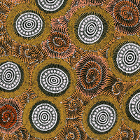 Aboriginal Artwork by Maria Nampijinpa Brown, Pamapardu Jukurrpa (Flying Ant Dreaming) - Warntungurru, 91x76cm