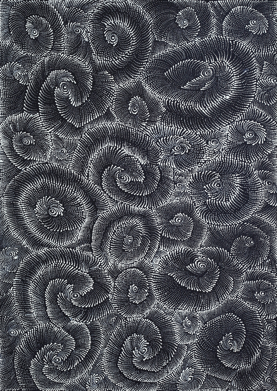 Aboriginal Artwork by Maria Nampijinpa Brown, Pamapardu Jukurrpa (Flying Ant Dreaming) - Warntungurru, 107x76cm