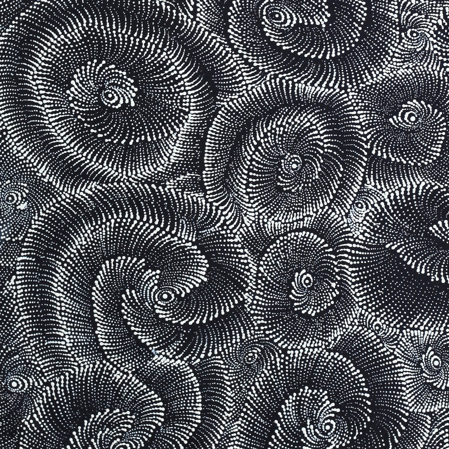 Aboriginal Artwork by Maria Nampijinpa Brown, Pamapardu Jukurrpa (Flying Ant Dreaming) - Warntungurru, 107x76cm