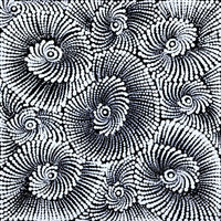 Aboriginal Artwork by Maria Nampijinpa Brown, Pamapardu Jukurrpa (Flying Ant Dreaming) - Warntungurru, 30x30cm