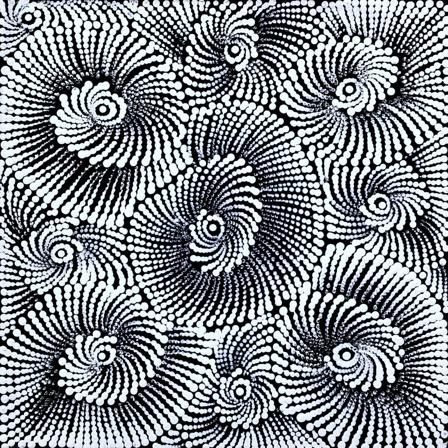 Aboriginal Artwork by Maria Nampijinpa Brown, Pamapardu Jukurrpa (Flying Ant Dreaming) - Warntungurru, 30x30cm