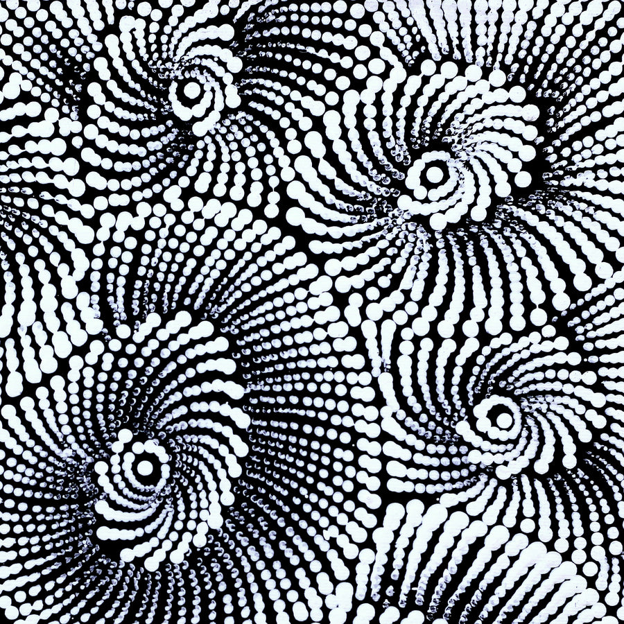 Aboriginal Artwork by Maria Nampijinpa Brown, Pamapardu Jukurrpa (Flying Ant Dreaming) - Warntungurru, 30x30cm