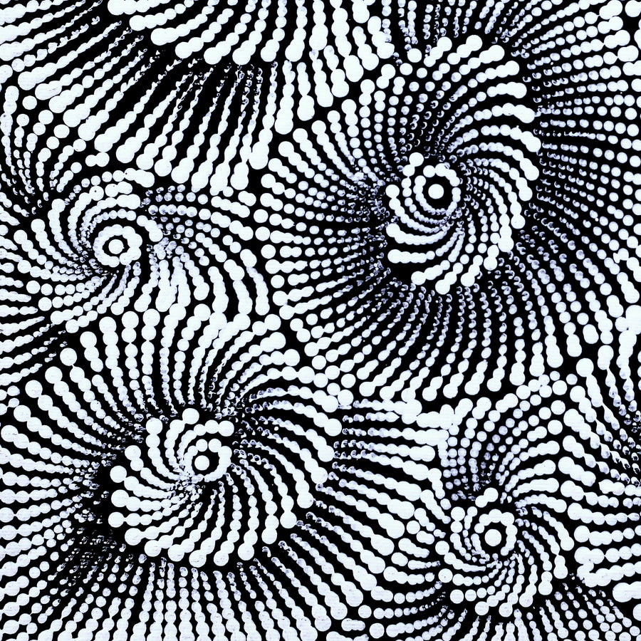 Aboriginal Artwork by Maria Nampijinpa Brown, Pamapardu Jukurrpa (Flying Ant Dreaming) - Warntungurru, 30x30cm
