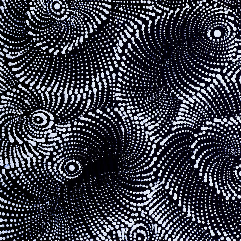 Aboriginal Artwork by Maria Nampijinpa Brown, Pamapardu Jukurrpa (Flying Ant Dreaming) - Warntungurru, 30x30cm