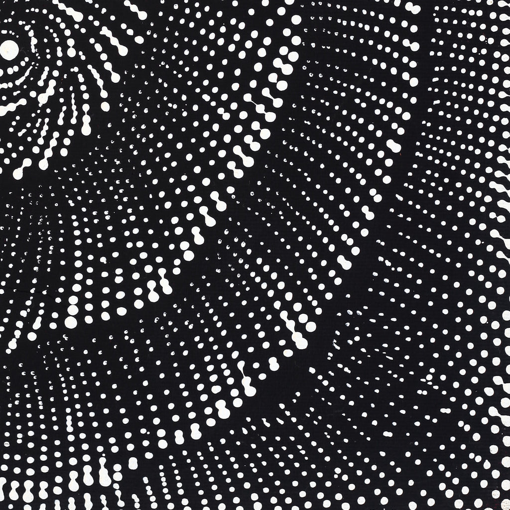 Aboriginal Artwork by Maria Nampijinpa Brown, Pamapardu Jukurrpa (Flying Ant Dreaming) - Warntungurru, 30x30cm