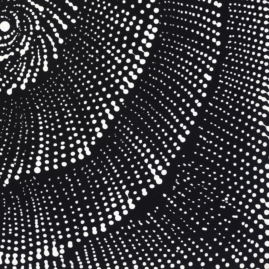 Aboriginal Artwork by Maria Nampijinpa Brown, Pamapardu Jukurrpa (Flying Ant Dreaming) - Warntungurru, 30x30cm