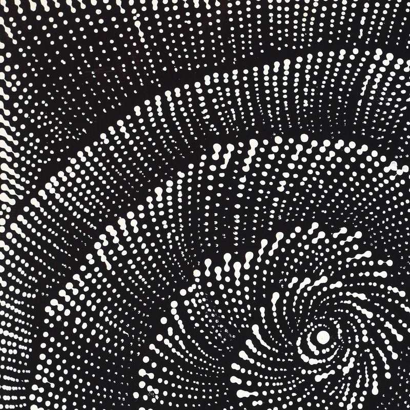 Aboriginal Artwork by Maria Nampijinpa Brown, Pamapardu Jukurrpa (Flying Ant Dreaming) - Warntungurru, 30x30cm