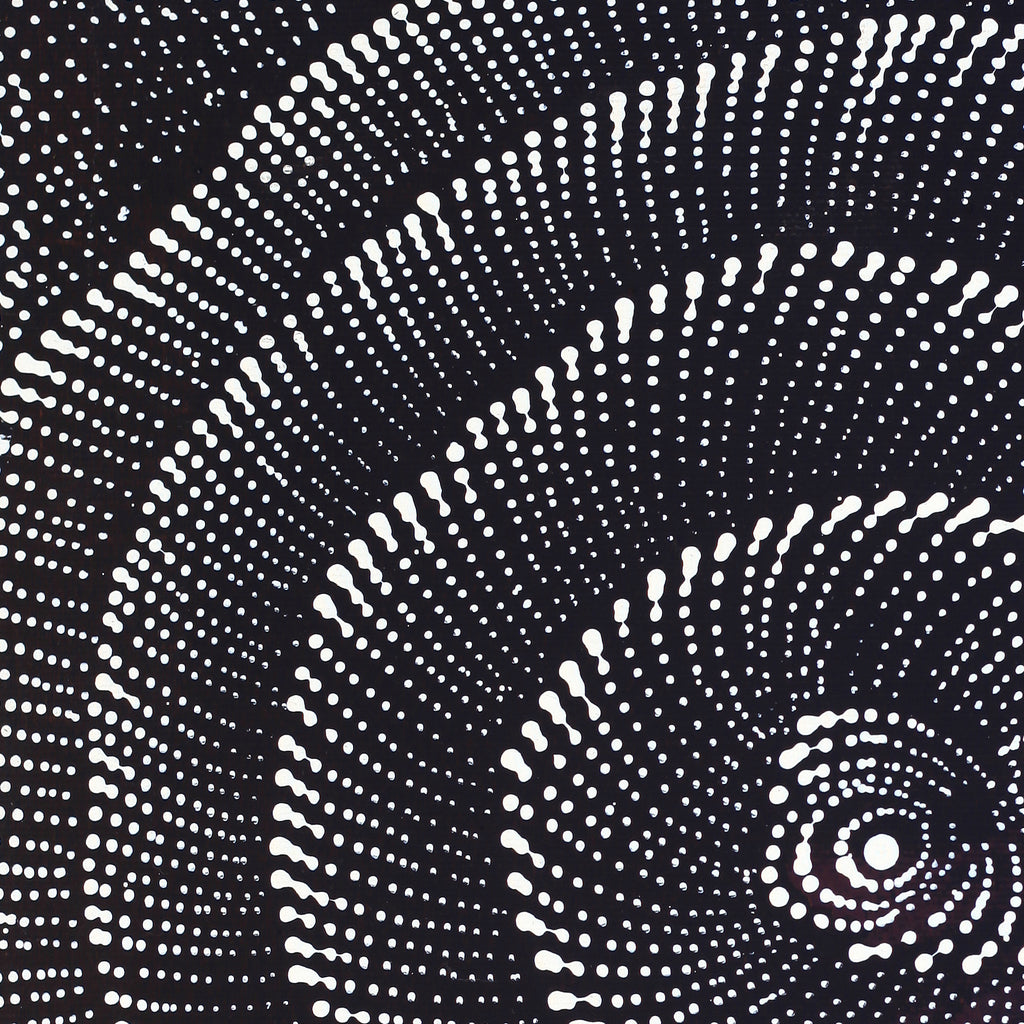 Aboriginal Artwork by Maria Nampijinpa Brown, Pamapardu Jukurrpa (Flying Ant Dreaming) - Warntungurru, 30x30cm
