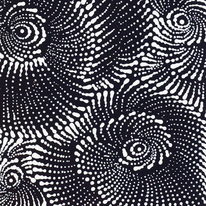 Aboriginal Artwork by Maria Nampijinpa Brown, Pamapardu Jukurrpa (Flying Ant Dreaming) - Warntungurru, 30x30cm