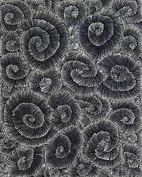 Aboriginal Artwork by Maria Nampijinpa Brown, Pamapardu Jukurrpa (Flying Ant Dreaming) - Warntungurru, 76x61cm
