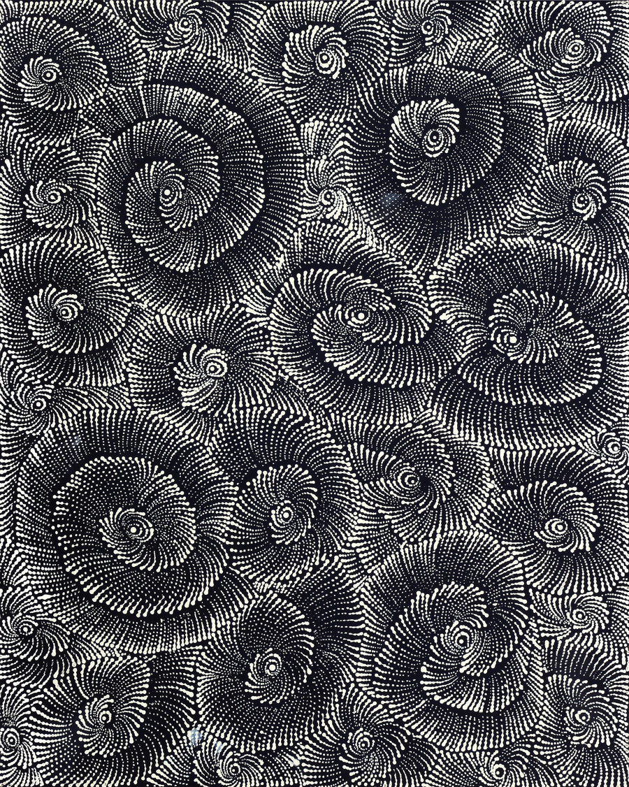 Aboriginal Artwork by Maria Nampijinpa Brown, Pamapardu Jukurrpa (Flying Ant Dreaming) - Warntungurru, 76x61cm