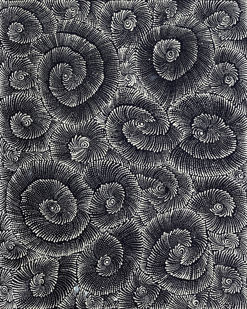 Aboriginal Artwork by Maria Nampijinpa Brown, Pamapardu Jukurrpa (Flying Ant Dreaming) - Warntungurru, 76x61cm