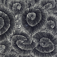 Aboriginal Artwork by Maria Nampijinpa Brown, Pamapardu Jukurrpa (Flying Ant Dreaming) - Warntungurru, 76x61cm