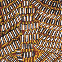 Aboriginal Artwork by Marilyn Maria Nangala Turner, Mina Mina Jukurrpa (Mina Mina Dreaming) - Ngalyipi, 122x46cm